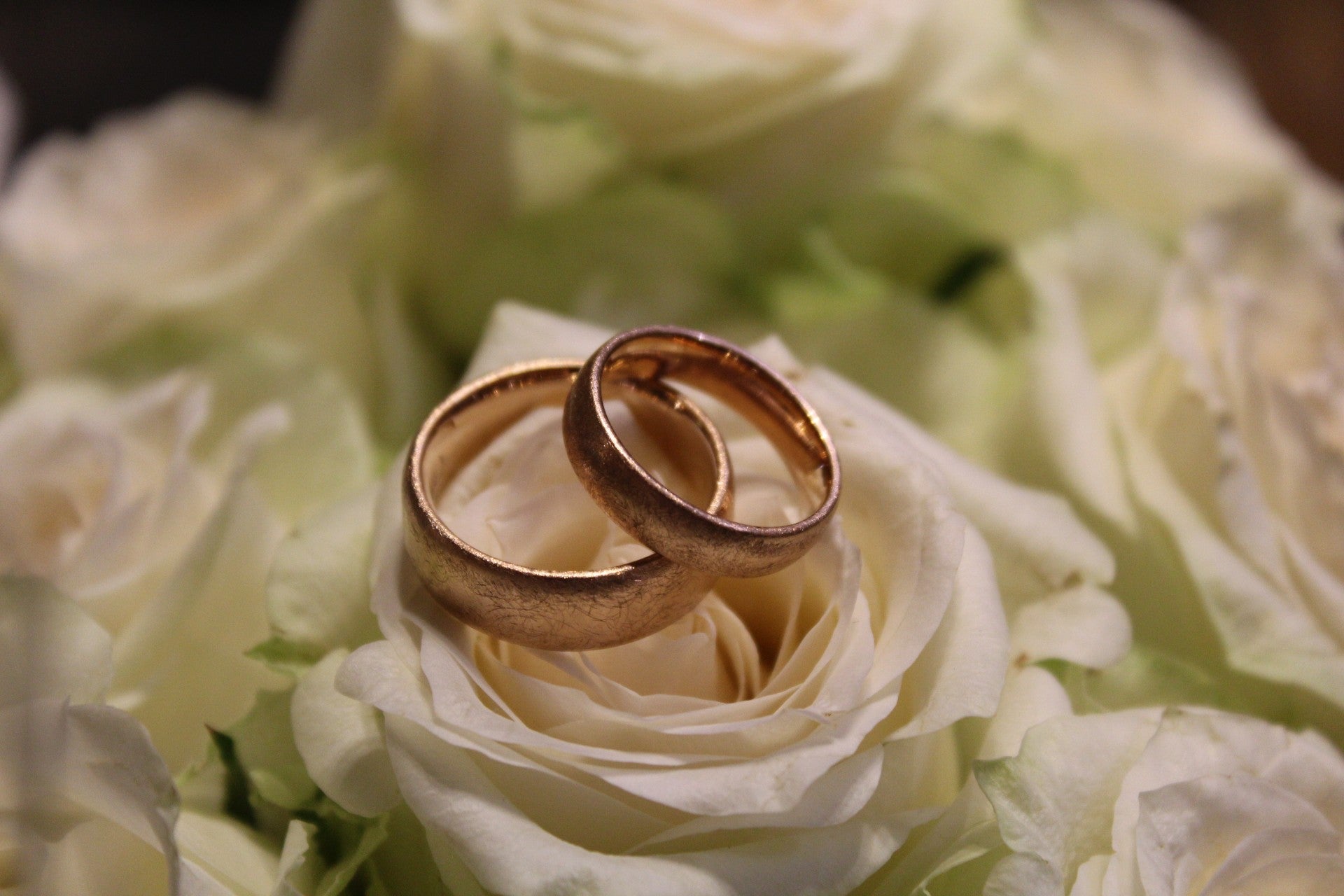 Lesunja Classics Wedding Rings
