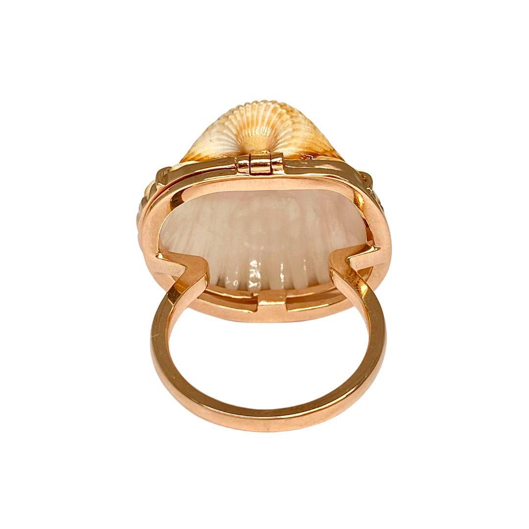 Venus Shell ring