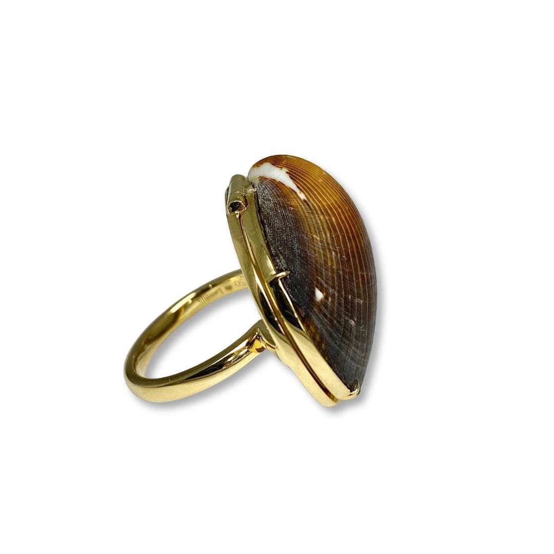 Lesunja Ocean XXY Boho Rings Yellow Gold Ruby Shell, detail view, Lesunja atelier Zurich