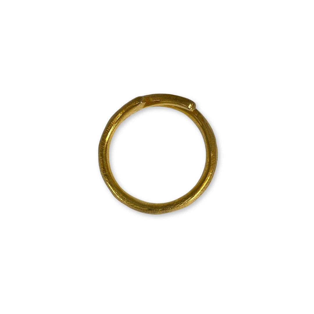 Lesunja Skynest Ring, detail view, Lesunja atelier Zurich