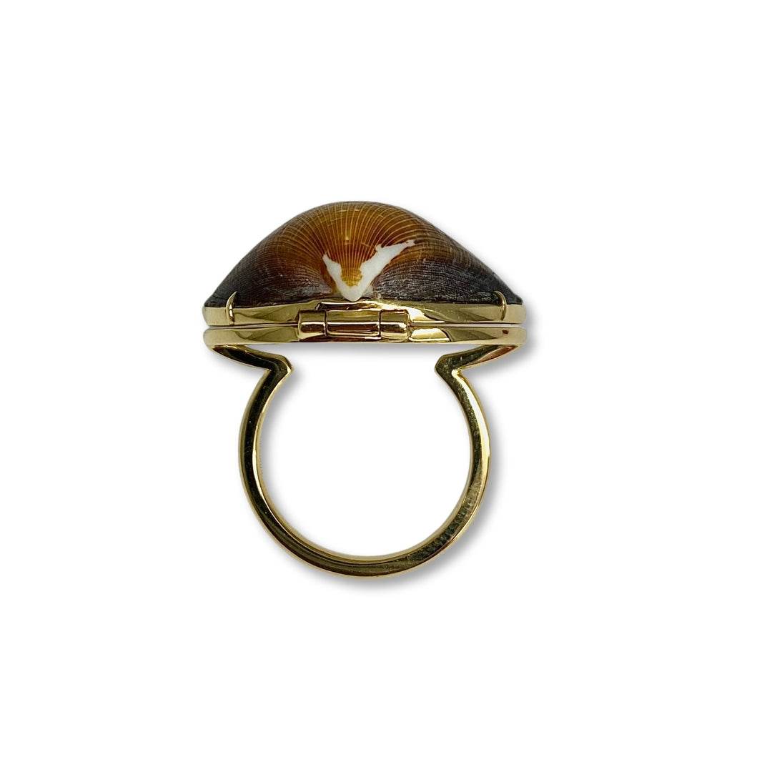 Lesunja Ocean XXY Boho Rings Yellow Gold Ruby Shell, detail view, Lesunja atelier Zurich