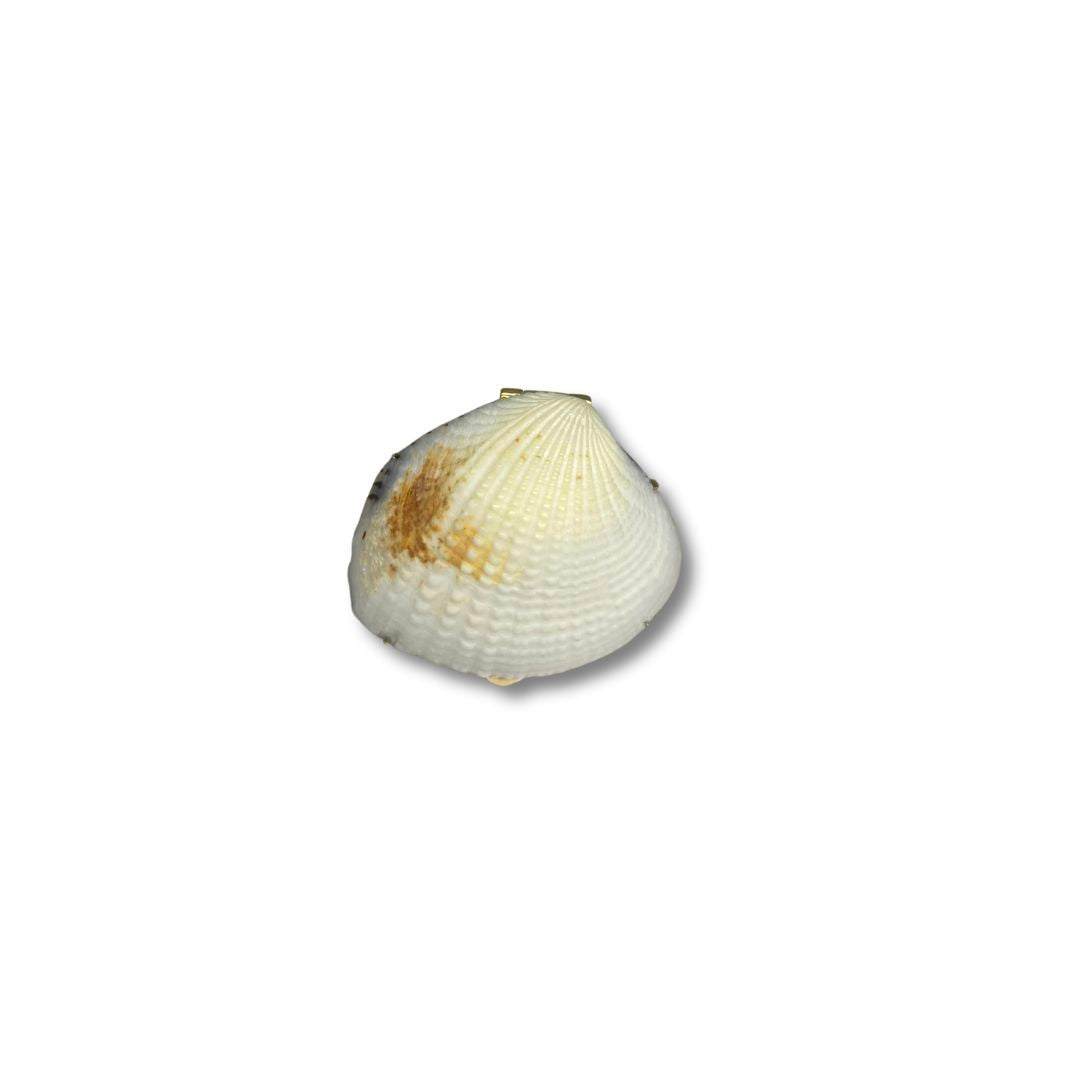 Lesunja Ocean XXY Boho Cocktail Ring Yellow Gold Blue Sapphire Shell, detail view, Lesunja atelier Zurich