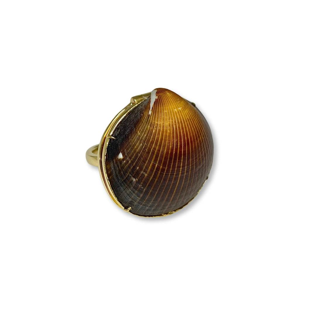 Lesunja Ocean XXY Boho Rings Yellow Gold Ruby Shell, detail view, Lesunja atelier Zurich