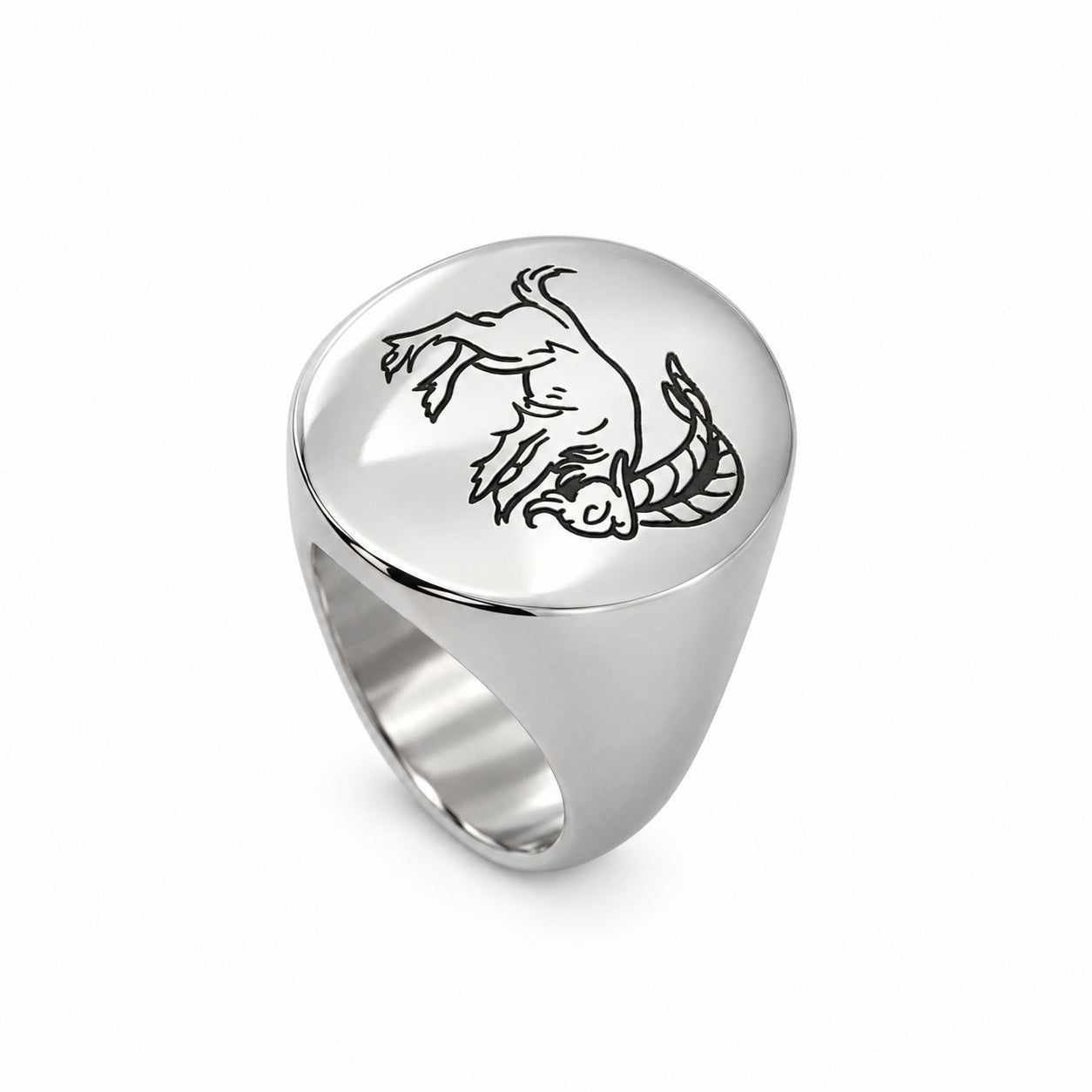 Lesunja Zodiac Capricorn Steel Ring – studio view on white