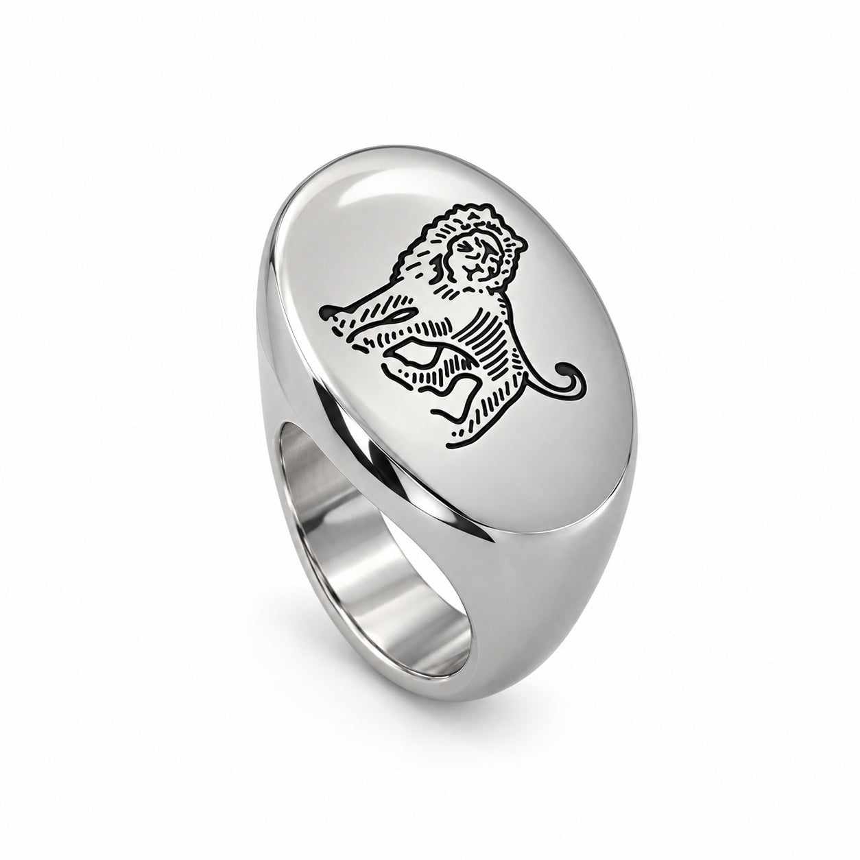 Lesunja Zodiac Leo Steel Ring – studio view on white