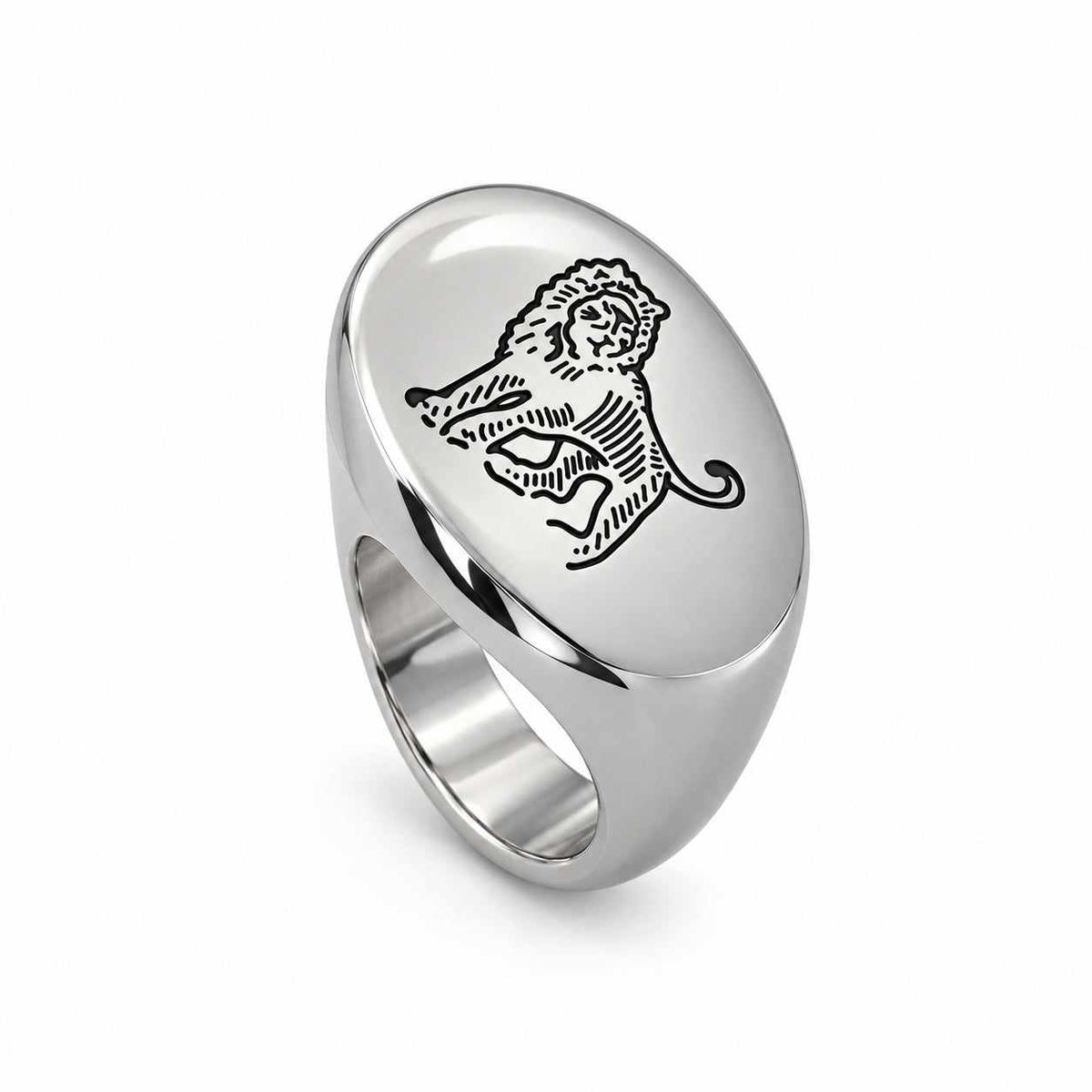 Lesunja Zodiac Leo Steel Ring – studio view on white