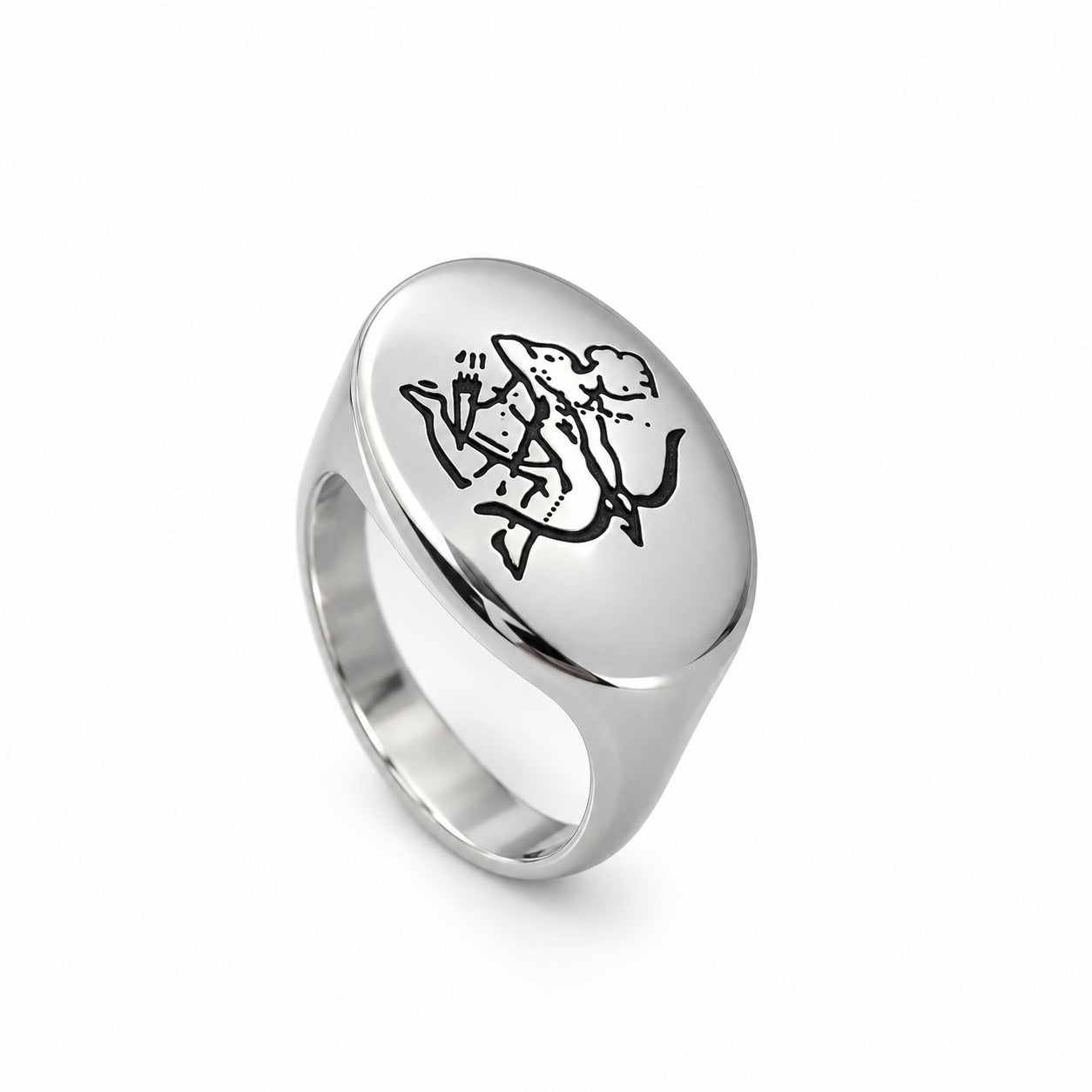 Lesunja Zodiac Sagittarius Steel Ring – studio view on white