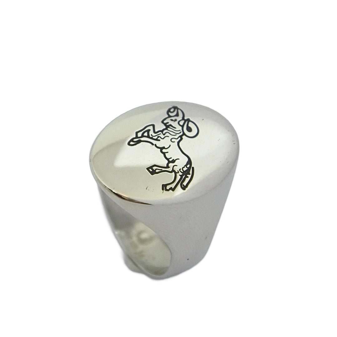 Lesunja Zodiac Aries Steel Ring