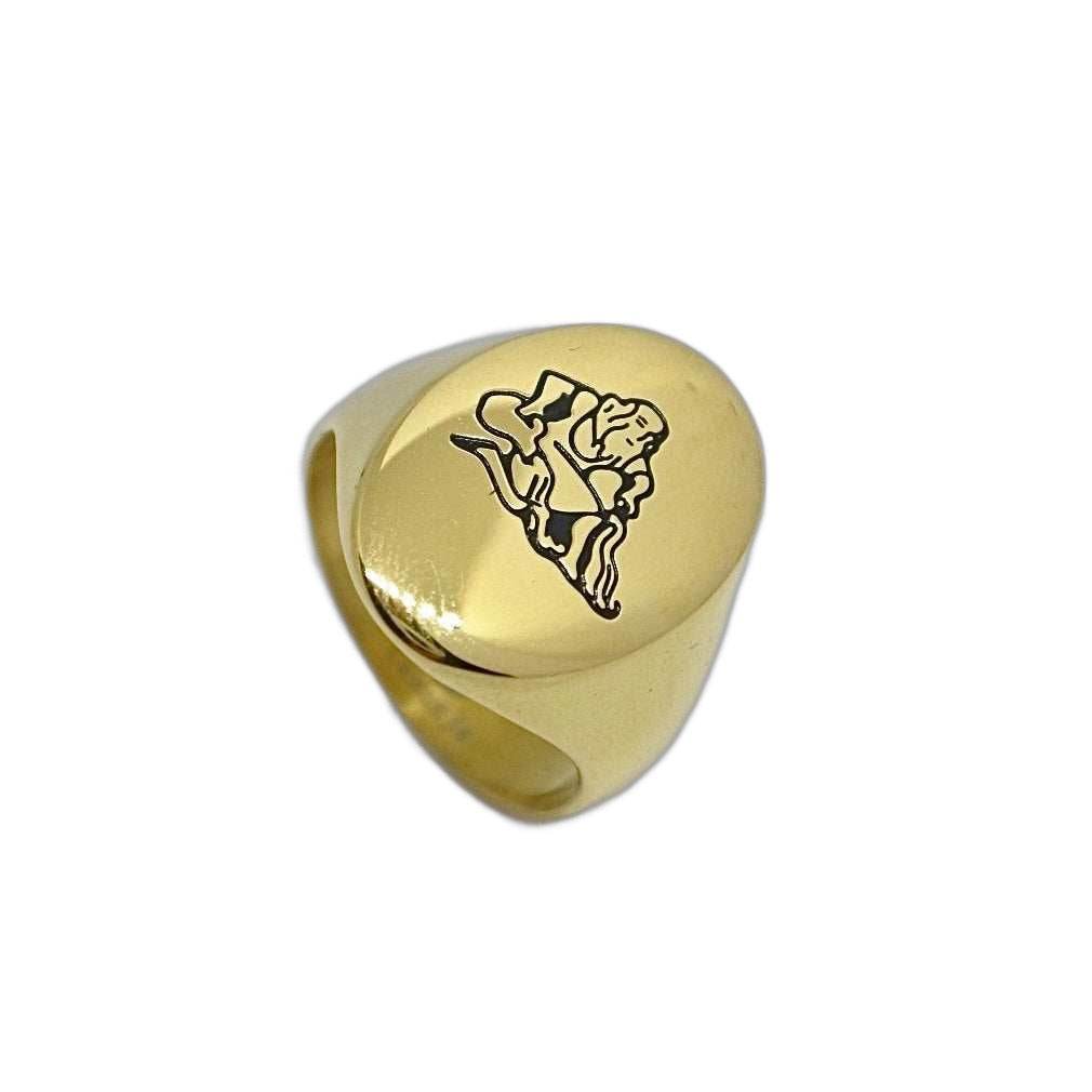 Lesunja Zodiac Steel Aquarius Yellow Gold Plated Ring