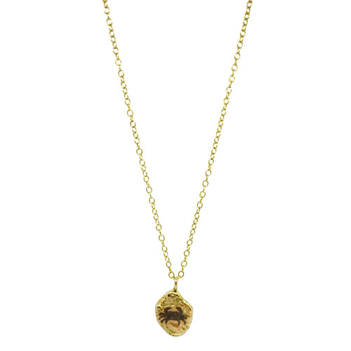 Lesunja Zodiac Cancer Silver Necklace Yellow Gold Nugget Moonstone
