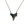 black shark tooth necklace