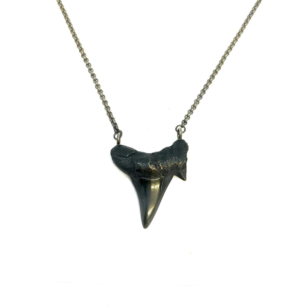 black shark tooth necklace