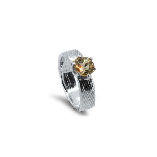 Lesunja Little Rainbow Silver Ring, detail view, Lesunja atelier Zurich